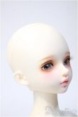 画像3: MYOUDOLL/1/4 Delia Y-25-02-12-174-YD-ZY (3)