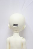 画像5: MYOU DOLL/Loretta 1/6 Ver. A-23-11-29-304-NY-ZA (5)