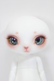 画像2: dearmine/Fluorite LORENZ bean A-23-12-20-132-NY-ZA (2)