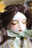 画像3: Gem of doll/Sunflower Sunny ,Vincent's Flower Fullset + Body Blush A-24-01-24-230-KN-ZA (3)