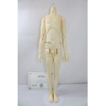 画像: BJD CROBI/M-Line Boy Body Nao B type　A-24-04-03-1100-KN-ZU