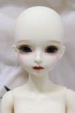 画像1: MYOUDOLL/1/4 Delia A-24-04-03-324-KN-ZA (1)