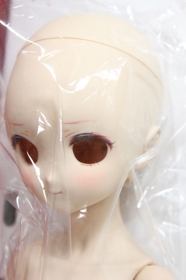 画像2: MDD/ドリームチョイス：DC-H-17(M03メイク)　本体 A-24-05-15-241-KD-ZA (2)