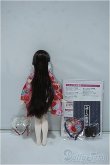 画像3: AZONE/謹賀新年 2020/ころん(アゾンダイレクトストア販売ver.) Y-24-07-10-118-YD-ZY (3)