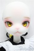 画像2: DOLK×DOLL ZONE】Miss kitty - 猫メイド ver. Limited A-24-09-04-242-KD-ZA (2)