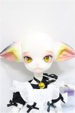 画像2: DOLK×DOLL ZONE/Miss kitty - 猫メイド ver. Limited A-24-09-18-300-KD-ZA (2)