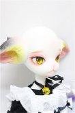 画像3: DOLK×DOLL ZONE/Miss kitty - 猫メイド ver. Limited A-24-09-18-300-KD-ZA (3)