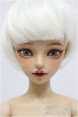 画像1: Myoudoll /Daisy coffee skin 1/4 A-24-09-04-238-KD-ZA (1)