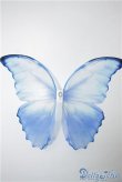 画像1: SD/OF：Butterfly　Wings　PLSTIC U-24-09-24-051-NY-ZU (1)