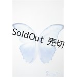 画像: SD/OF：Butterfly　Wings　PLSTIC U-24-09-24-051-NY-ZU