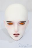 画像1: PIPOS/Monthly head MIN O　ヘッド/BJD　球体関節人形 A-24-11-06-170-NY-ZA (1)