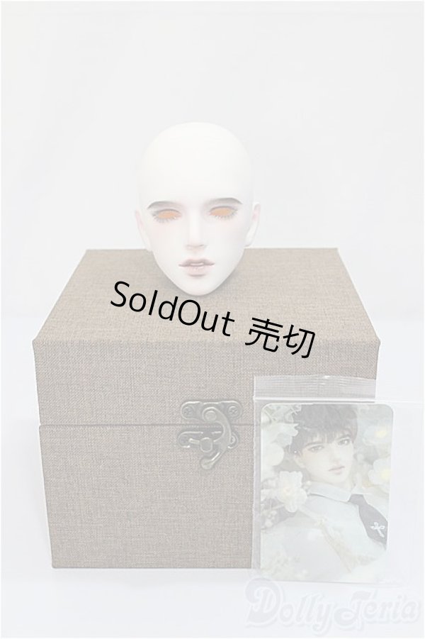 画像4: PIPOS/Monthly head MIN O　ヘッド/BJD　球体関節人形 A-24-11-06-170-NY-ZA (4)