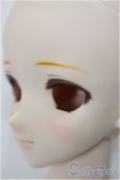 画像3: DDH-09/DDF3ボディ/BJD　球体関節人形 A-24-11-13-111-NY-ZA (3)