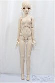 画像4: DDH-09/DDF3ボディ/BJD　球体関節人形 A-24-11-13-111-NY-ZA (4)