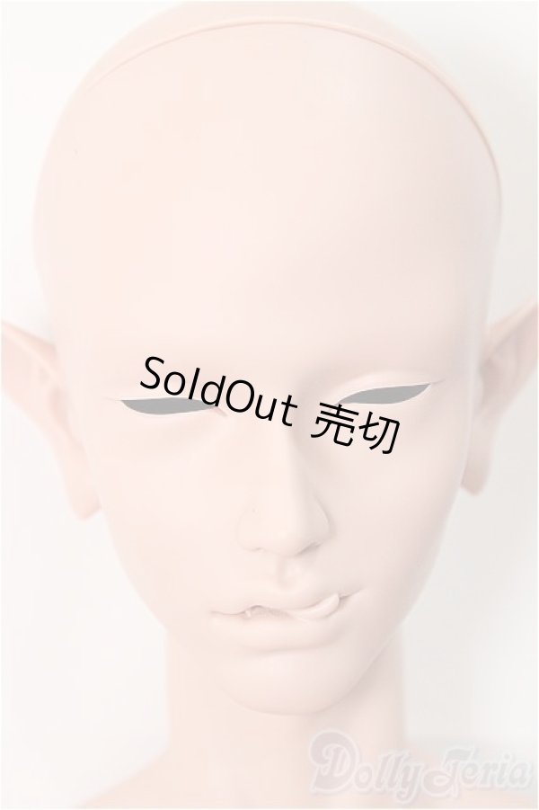 画像1: The Gem/ Sard - Surprise Fantasy Head＋Super Gem男の子(65cm)Human Body/BJD　球体関節人形 A-24-11-13-250-NY-ZA (1)