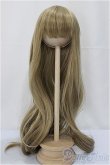 画像1: 8-9inch/ウィッグ/インチ　BJD　MJD　ドール用 A-24-11-13-227-KD-ZA (1)