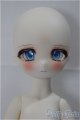 画像: TinyFox /付き人のアザラシ ノーミ/BJD　球体関節人形 A-24-11-20-151-NY-ZA