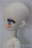 画像3: TinyFox /付き人のアザラシ ノーミ/BJD　球体関節人形 A-24-11-20-151-NY-ZA (3)