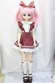 画像5: AZONE/1/3アナザーリアリスティックキャラクターズ 『こさぎ』 Ronshuka Couture(ロンシュカ・クチュール)コラボレーションモデル/0 A-24-11-27-136-NY-ZA (5)