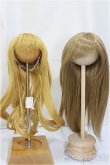 画像1: 9-10inch/ウィッグ/インチ　BJD　MJD　ドール用 A-24-11-27-301-NY-ZA (1)