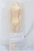 画像2: petworks/六分の一男子図鑑　PW-28BODY　B品/0 A-24-12-04-348-KD-ZA (2)