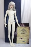 画像3: FAIRY LAND/FeePle60  Alan /BJD　球体関節人形 A-24-12-04-360-NY-ZA (3)