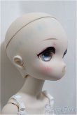 画像3: MDD /こうめ　スタンダードモデル/ A-24-12-11-400-KD-ZA (3)