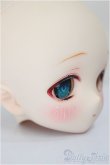 画像2: DDH-01/METEO RITO様カスタムヘッド/BJD　球体関節人形 A-24-12-04-395-KD-ZA (2)