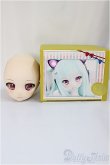 画像5: DDH-01/カスタムヘッド/BJD　球体関節人形 A-24-12-11-110-NY-ZA (5)