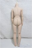 画像2: MDD/ベースボディ/BJD　球体関節人形 A-24-12-11-260-NY-ZA (2)