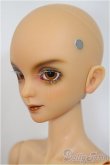 画像3: Gem of Doll /Carlos Human Ver./BJD　球体関節人形 A-25-01-22-148-NY-ZA (3)