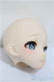 画像3: DD/DDH-09 カスタムヘッド/BJD　球体関節人形 A-24-12-11-305-NY-ZA (3)