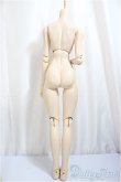 画像2: DDS/ベースボディIII/BJD　球体関節人形 A-25-02-12-247-NY-ZA (2)