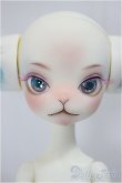 画像1: Dollzone/Miss Kitty Twinkle Star fullset/BJD　球体関節人形 A-24-12-25-101-KD-ZA (1)