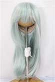 画像1: 8-9inch/ウィッグ/インチ　BJD　MJD　ドール用 A-25-01-01-255-NY-ZA (1)