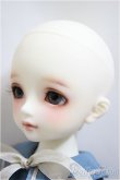 画像3: SDM女の子/コーディネートモデルF-50/BJD　球体関節人形 A-25-01-01-180-NY-ZA (3)