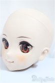 画像2: DDS/めぐみん この素晴らしい世界に祝福を！/BJD　球体関節人形 A-25-01-01-119-NY-ZA (2)