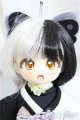 画像: TinyFox/バタフライクノイチ カカフ/BJD　球体関節人形 A-25-01-01-103-KD-ZA