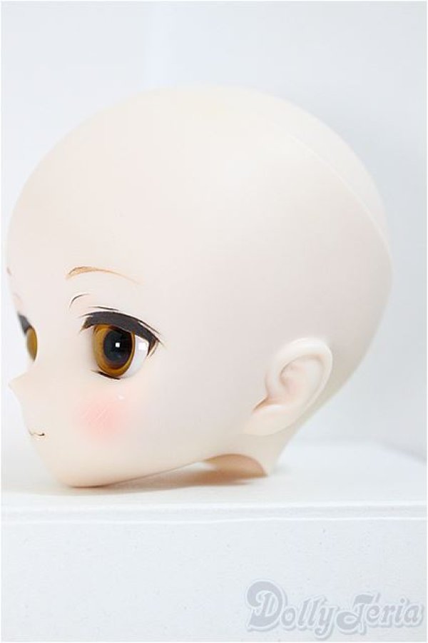 画像3: DDH-01/カスタムメイクヘッド/BJD　球体関節人形 A-25-01-01-115-KD-ZA (3)