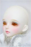 画像3: 【DOLK×MYOU DOLL】Snow Delia 2020 ver. Limited/BJD　球体関節人形 A-25-01-08-158-KD-ZA (3)