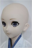 画像3: DDH-07ヘッド/DD上半身シリコンカスタムボディ/BJD　球体関節人形 A-25-01-08-148-NY-ZA (3)