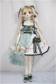 画像4: Gem of Doll/Aurora /BJD　球体関節人形 A-25-01-15-162-NY-ZA (4)