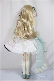 画像5: Gem of Doll/Aurora /BJD　球体関節人形 A-25-01-15-162-NY-ZA (5)