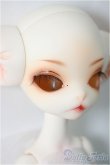 画像2: DOLL ZONE/Miss Kitty/BJD　球体関節人形 A-25-01-15-149-NY-ZA (2)