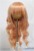 画像1: 8-9inch/ウィッグ:Dollsn製/インチ　BJD　MJD　ドール用 A-25-01-15-277-NY-ZA (1)