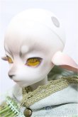 画像3: Dream Valley/Cedar/BJD　球体関節人形 A-25-01-22-199-NY-ZA (3)