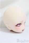 画像2: DDH-01/カスタムヘッド/BJD　球体関節人形 A-25-01-22-361-KD-ZA (2)