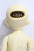 画像5: 幼天使/ゆき/BJD　球体関節人形 A-25-01-29-257-KD-ZA (5)