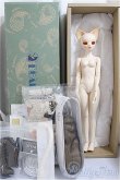 画像6: DEAR MINE/VIVIEN L. 和ロリィタ Autumn ver./BJD　球体関節人形 A-25-02-05-286-NY-ZA (6)