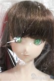 画像1: DD/DC-H-24ヘッド　ドリームチョイス/BJD　球体関節人形 A-25-02-12-298-NY-ZA (1)